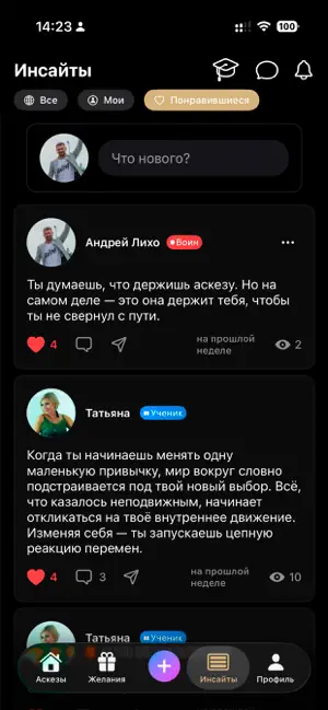 Интерфейс Askeza